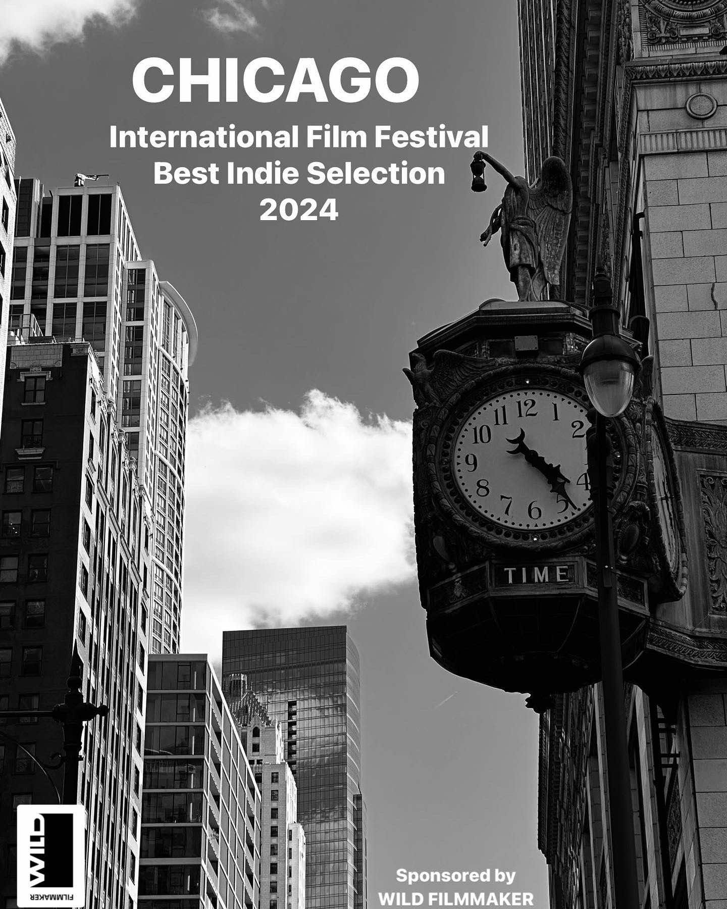 WINNERS Chicago International Film Festival Best Indie Selection 2024